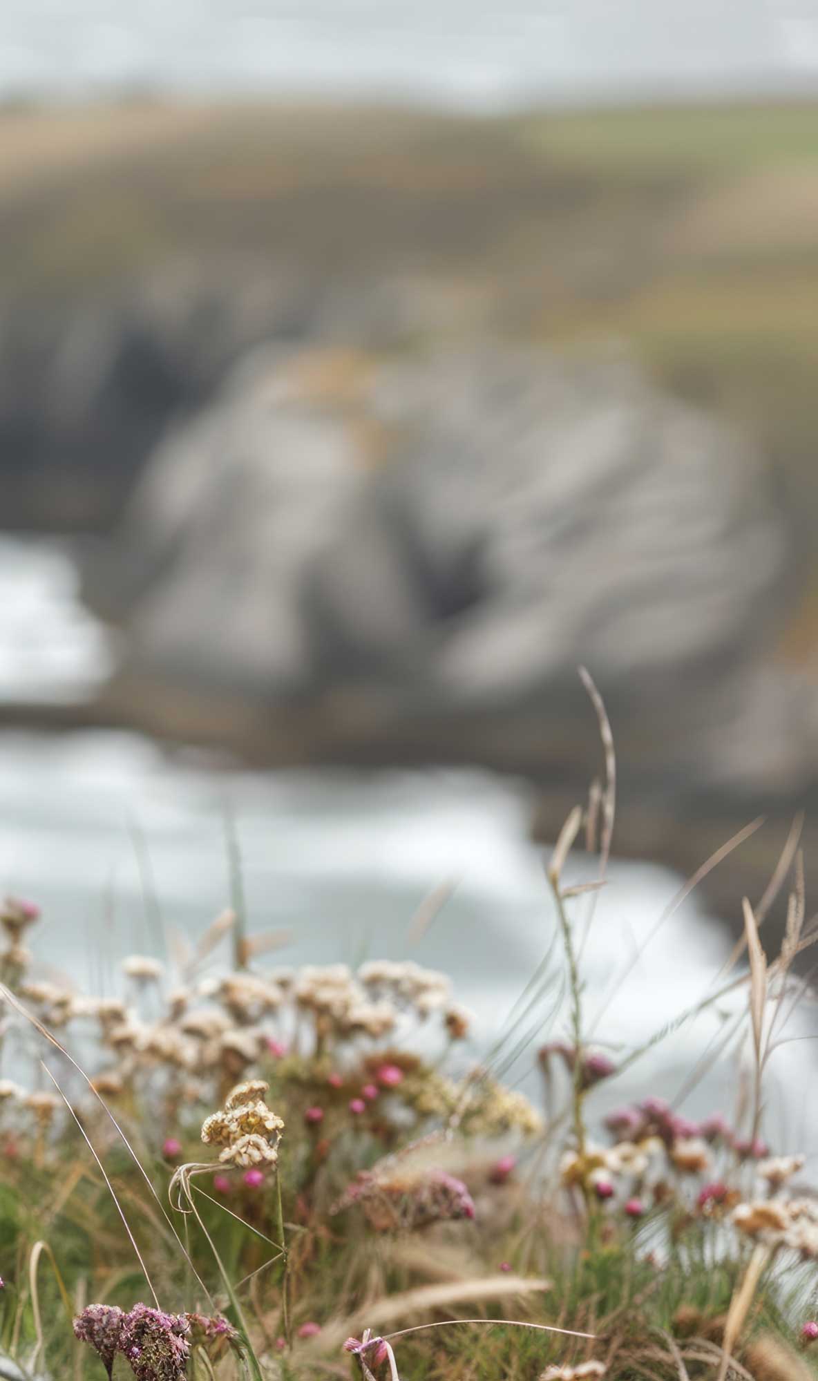 Peaceful coastal landscape representing healing, hope, and divorce support for women in San Mateo County.